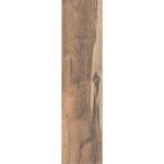 ARAUCARIA MARRON 20X80