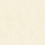 MONACO GRIS PULIDO 2DA 58X58 - Imagen 2