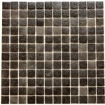 Eco Piscine Black 6 EV6022 30 X 30