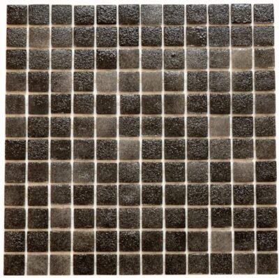 Eco Piscine Black 6 EV6022 30 X 30 - Imagen 2