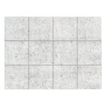 Terrazzo Bianco BC1001 20 X 20
