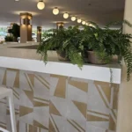 PLENO BLANCO 80X160 - Imagen 4