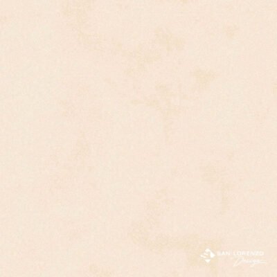 MODUS ART HUESO 80X80 - Imagen 3