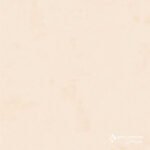 MODUS ART HUESO 80X80 - Imagen 2