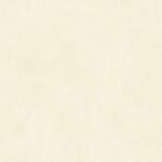 CENTURY TITANIO 60X60 - Imagen 2