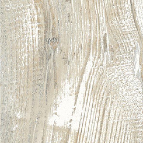 encinocara01.jpg ENCINO BLANCO 20X80 - Imagen 1