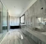 VENATO BLACK 120X120 - Imagen 2